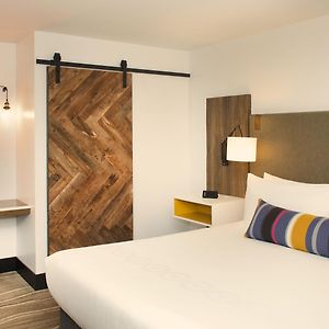 King Room Roll Shower View Disability Access